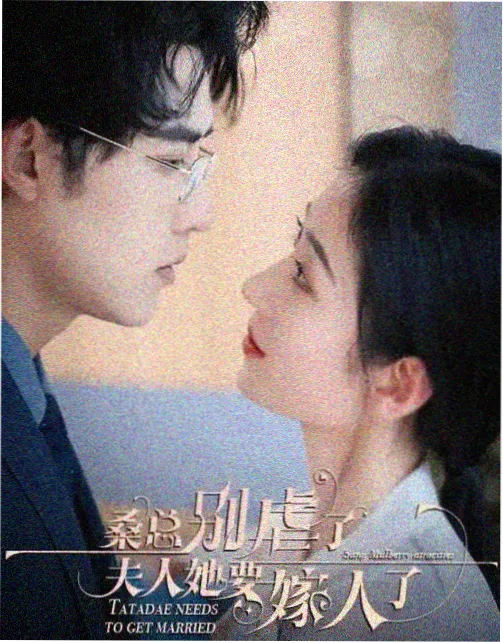 灯火可亲 手机在线看视频免费